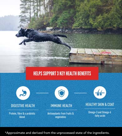 Helps support Digestive Health, Healthy Skin & Coats and Immune Health